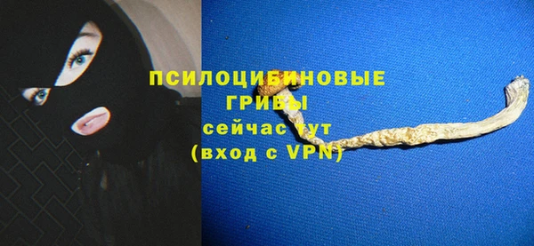 эйфоретик Богородицк